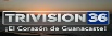 Teletrivision